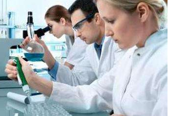 食品添加劑檢測